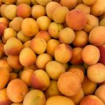 Comment réussir une tarte aux abricots fondante et gourmande