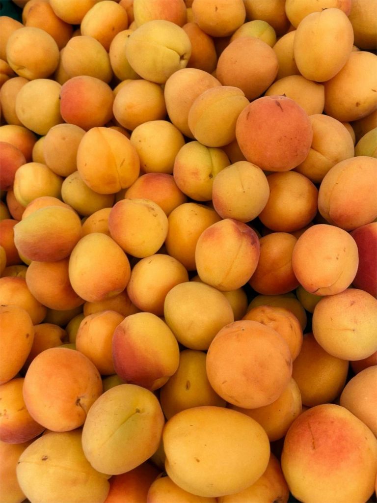 Comment réussir une tarte aux abricots fondante et gourmande