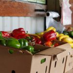 Circuit court en rhône-alpes : pourquoi choisir des produits locaux pour votre panier de la semaine