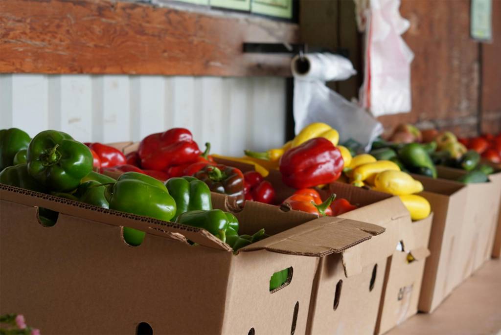 Circuit court en rhône-alpes : pourquoi choisir des produits locaux pour votre panier de la semaine
